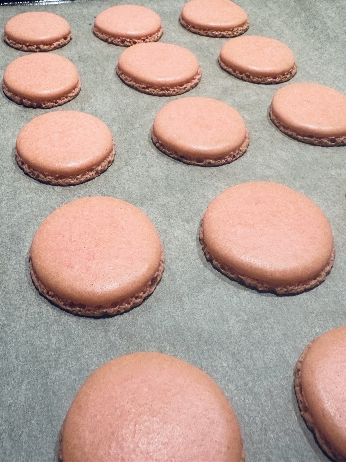 Chase's macarons photo 8